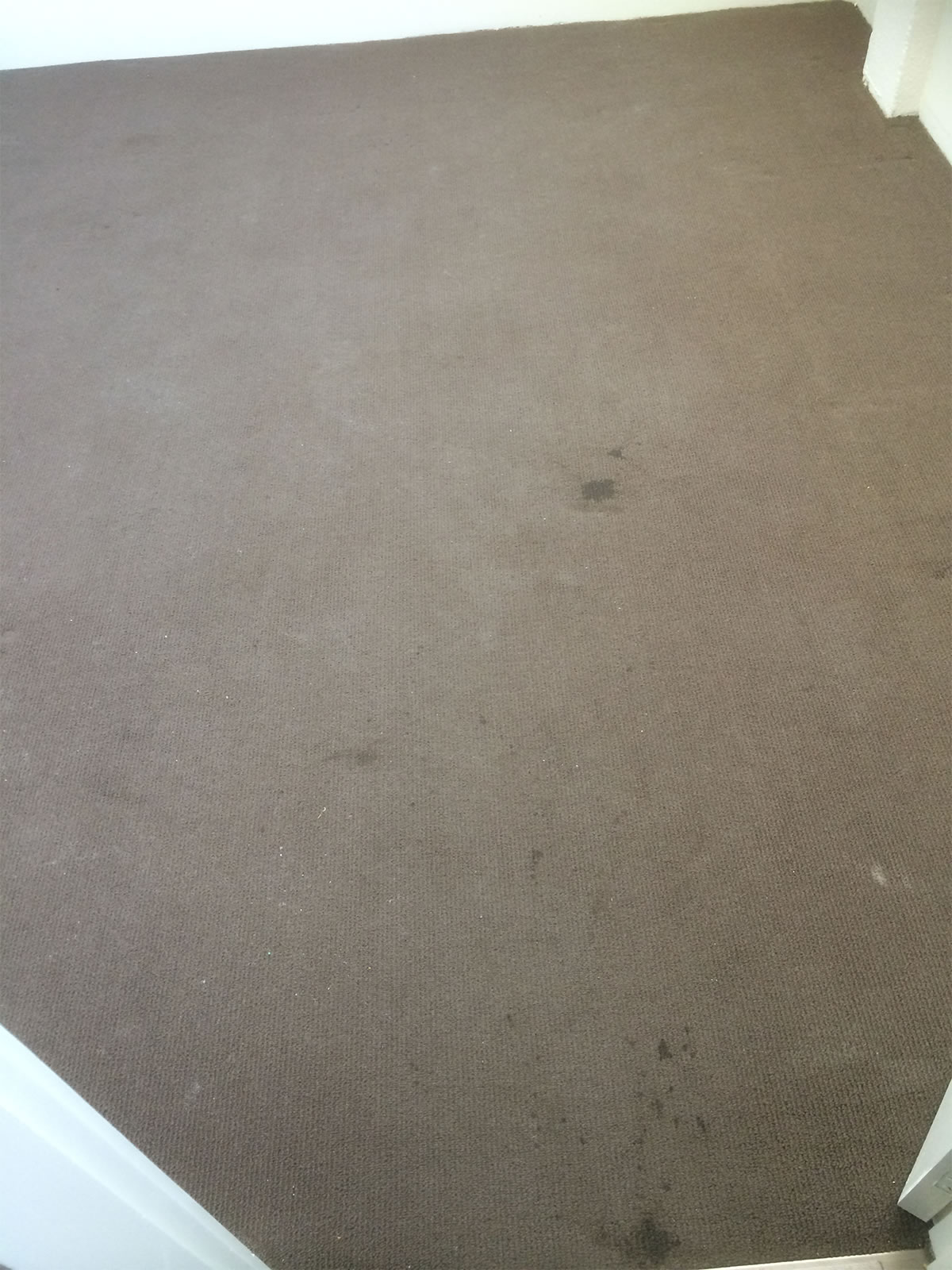 Before Photo