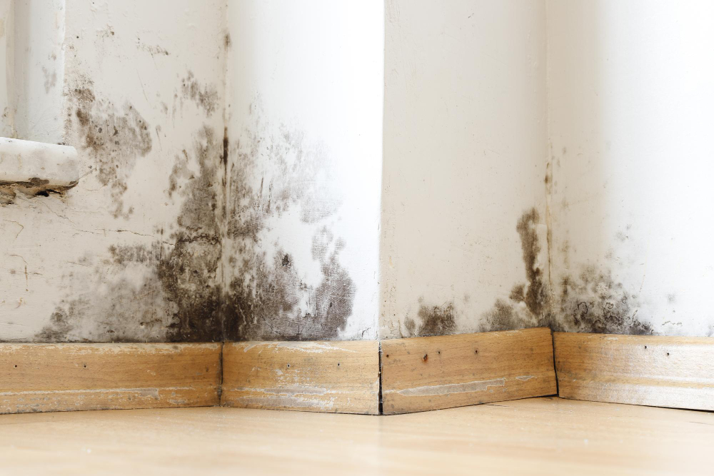 mould